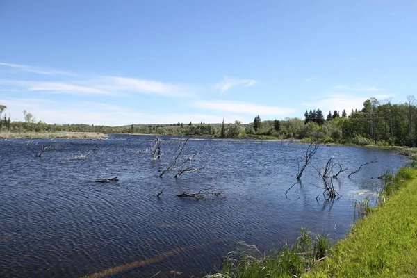 Glacier Ulusal Parkı Inside, Montana, ABD