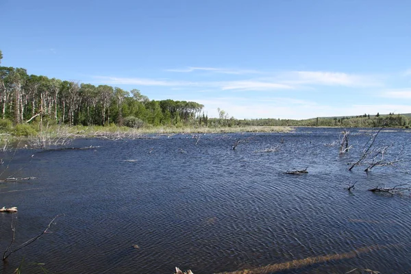 Belső Gleccser Nemzeti Park Montana Amerikai Egyesült Államok — Stock Fotó