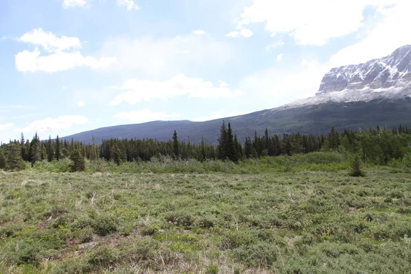 Glacier Ulusal Parkı Inside, Montana, ABD