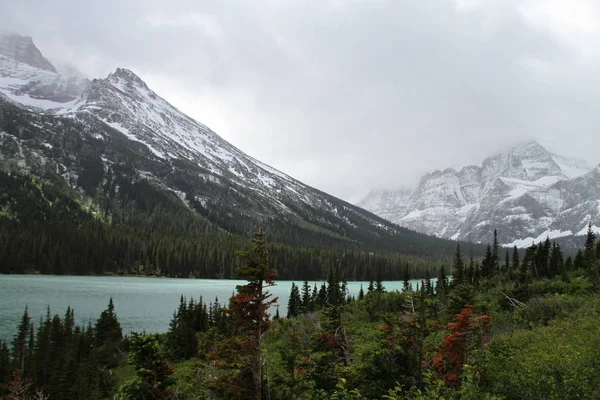 Glacier Ulusal Parkı Montana Abd — Stok fotoğraf