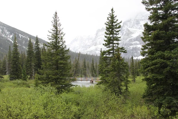 Glacier National Park Montana Stany Zjednoczone — Zdjęcie stockowe