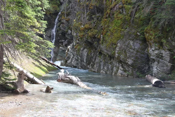 Parco Nazionale Del Ghiacciaio Montana Usa — Foto Stock