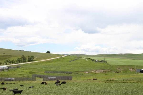 Waterton Lakes içinde, Alberta, Kanada