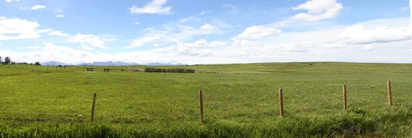 Waterton Lakes içinde, Alberta, Kanada
