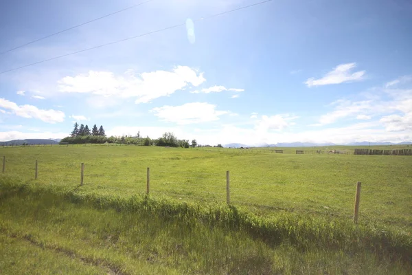 Waterton Lakes içinde, Alberta, Kanada
