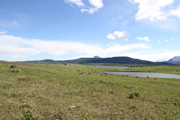 Waterton Lakes içinde, Alberta, Kanada