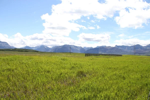 Waterton Lakes içinde, Alberta, Kanada