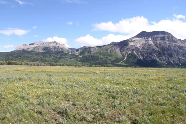 Dentro Waterton Lakes Alberta Canadá — Foto de Stock