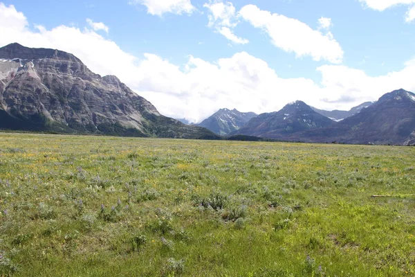 Waterton Lakes Içinde Alberta Kanada — Stok fotoğraf