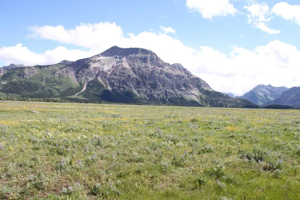 Waterton Lakes içinde, Alberta, Kanada