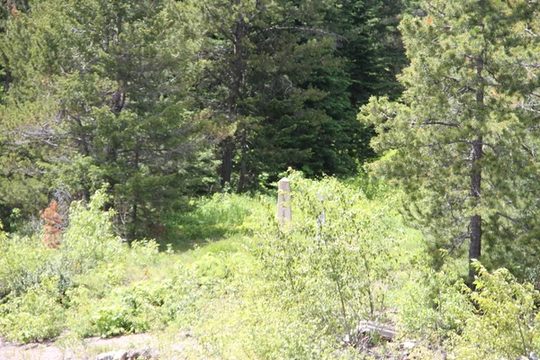 Waterton Lakes Içinde Alberta Kanada — Stok fotoğraf