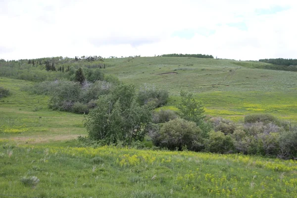 Glacier National Park, Browning, Montana, Amerika Birleşik Devletleri