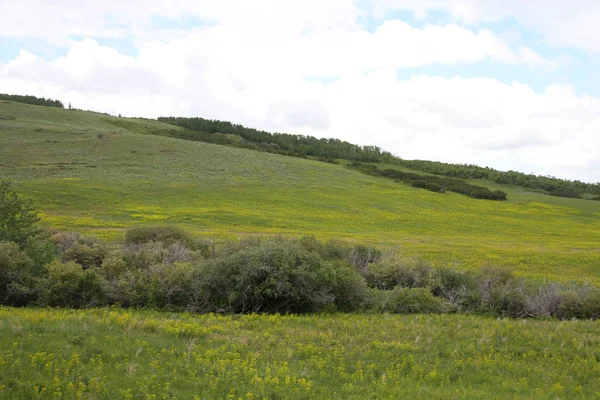 Glacier National Park, Browning, Montana, Amerika Birleşik Devletleri