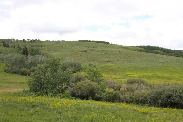 Glacier National Park, Browning, Montana, Amerika Birleşik Devletleri