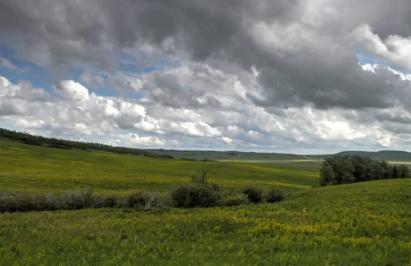 Park Narodowy Lodowcowy Browning Montana Usa — Zdjęcie stockowe