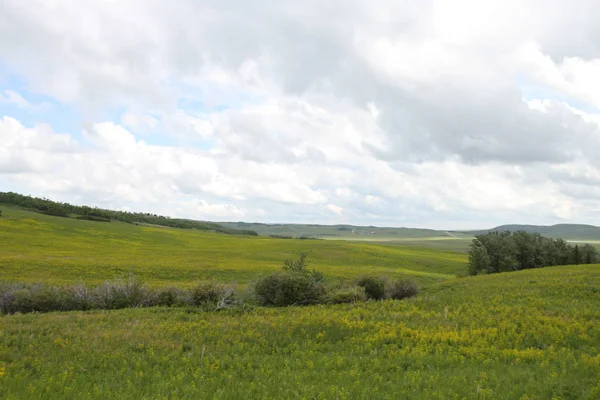 Glacier National Park, Browning, Montana, Amerika Birleşik Devletleri