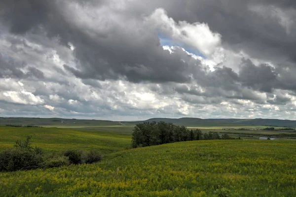 Glacier National Park, Browning, Montana, Amerika Birleşik Devletleri