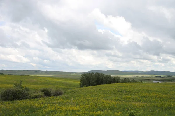 Glacier National Park, Browning, Montana, Amerika Birleşik Devletleri