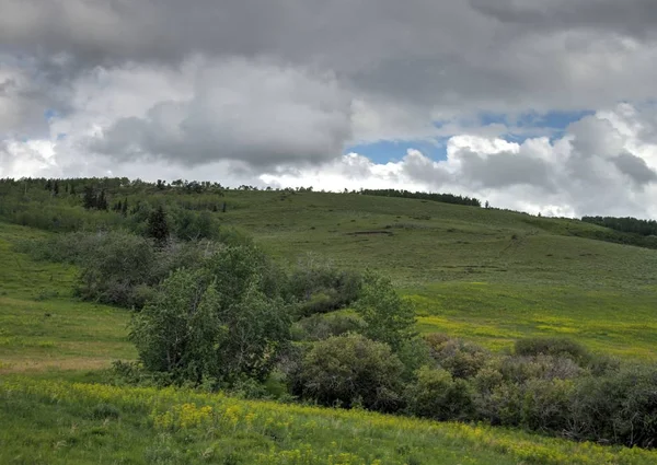 Park Narodowy Lodowcowy Browning Montana Usa — Zdjęcie stockowe