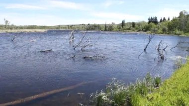 Buzul Milli Parkı, Montana. Waterton Gölleri, Alberta, Flathead Gölü
