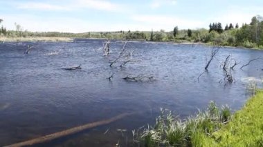 Buzul Milli Parkı, Montana. Waterton Gölleri, Alberta, Flathead Gölü