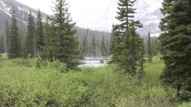 Buzul Milli Parkı, Montana. Waterton Gölleri, Alberta, Flathead Gölü