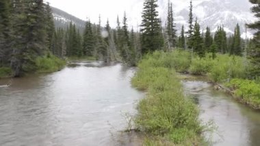 Buzul Milli Parkı, Montana. Waterton Gölleri, Alberta, Flathead Gölü