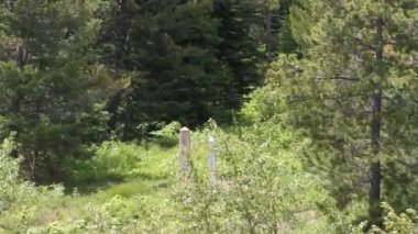 Abd'nin Kanada sınırı Montana ve Alberta'da