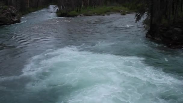 Parque Nacional Glacier Montana Waterton Lakes Alberta Flathead Lake — Vídeo de Stock