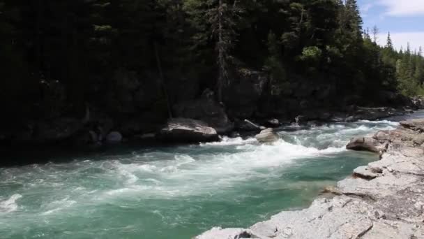 Parque Nacional Glaciar Montana Lagos Waterton Alberta Lago Flathead — Vídeos de Stock