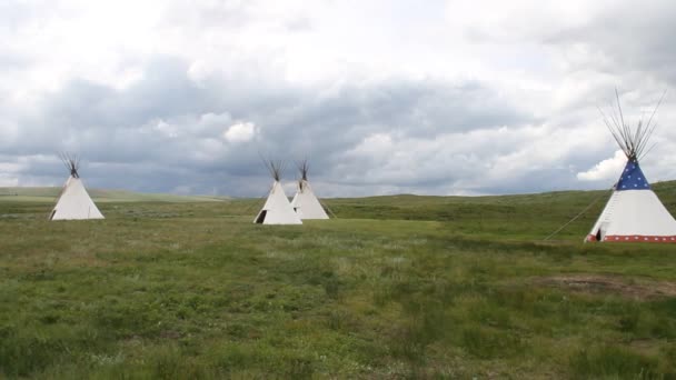 Teepe Montana Nära Glacier National Park — Stockvideo