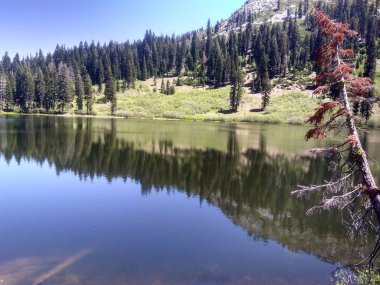 Trinity Alps California'da Vahşi Doğa Manzarası