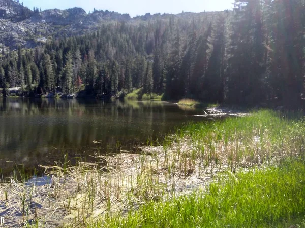 Veduta Della Natura Selvaggia Nelle Alpi Trinità California — Foto Stock