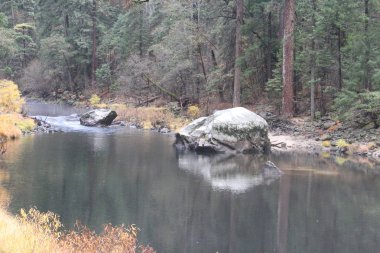 Sonbaharda Yosemite milli parkında Doğa