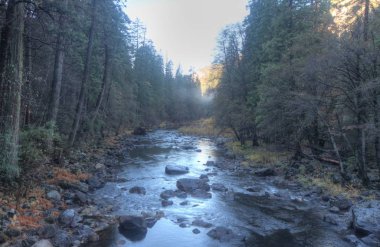Sonbaharda Yosemite milli parkında Doğa