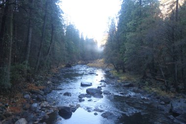 Sonbaharda Yosemite milli parkında Doğa