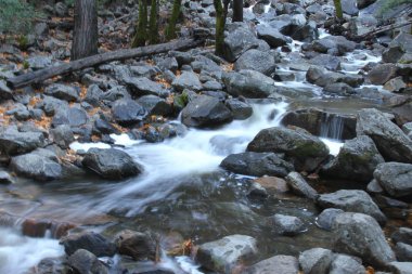 Sonbaharda Yosemite milli parkında Doğa