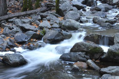 Sonbaharda Yosemite milli parkında Doğa