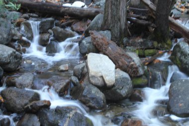 Sonbaharda Yosemite milli parkında Doğa