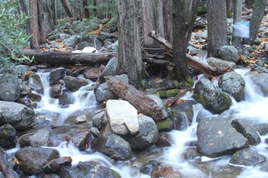 Sonbaharda Yosemite milli parkında Doğa