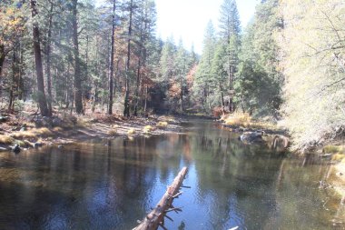 Sonbaharda Yosemite milli parkında Doğa