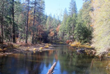 Sonbaharda Yosemite milli parkında Doğa