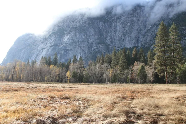 Natura Nel Parco Nazionale Dello Yosemite Autunno — Foto Stock