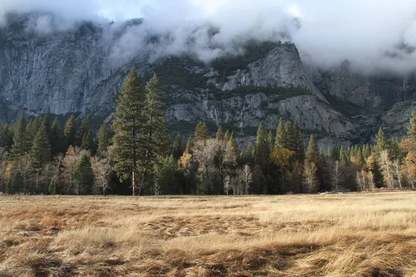 Natura Nel Parco Nazionale Dello Yosemite Autunno — Foto Stock