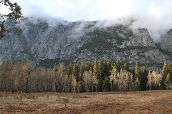 Natura Nel Parco Nazionale Dello Yosemite Autunno — Foto Stock