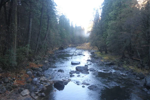 Natur Yosemite Nationalpark Herbst — Stockfoto