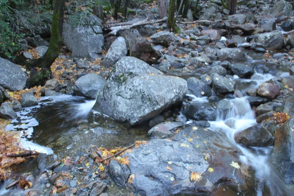 秋のヨセミテ国立公園の自然 — ストック写真