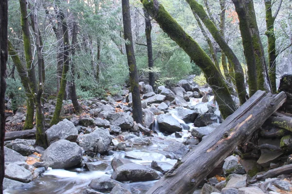 Naturaleza Parque Nacional Yosemite Otoño —  Fotos de Stock