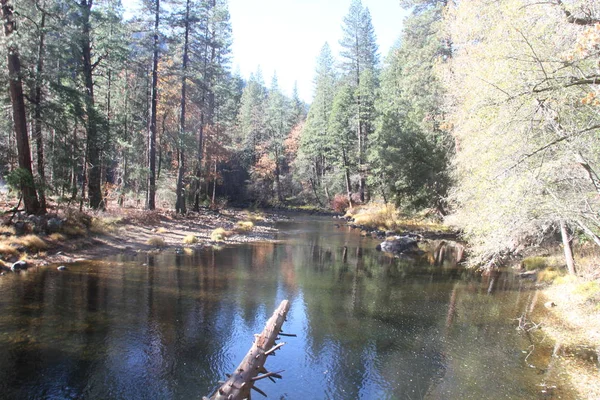 Sonbaharda Yosemite Milli Parkında Doğa — Stok fotoğraf