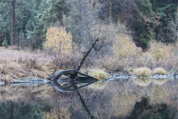 Природа Йосемитском Национальном Парке Осенью — стоковое фото